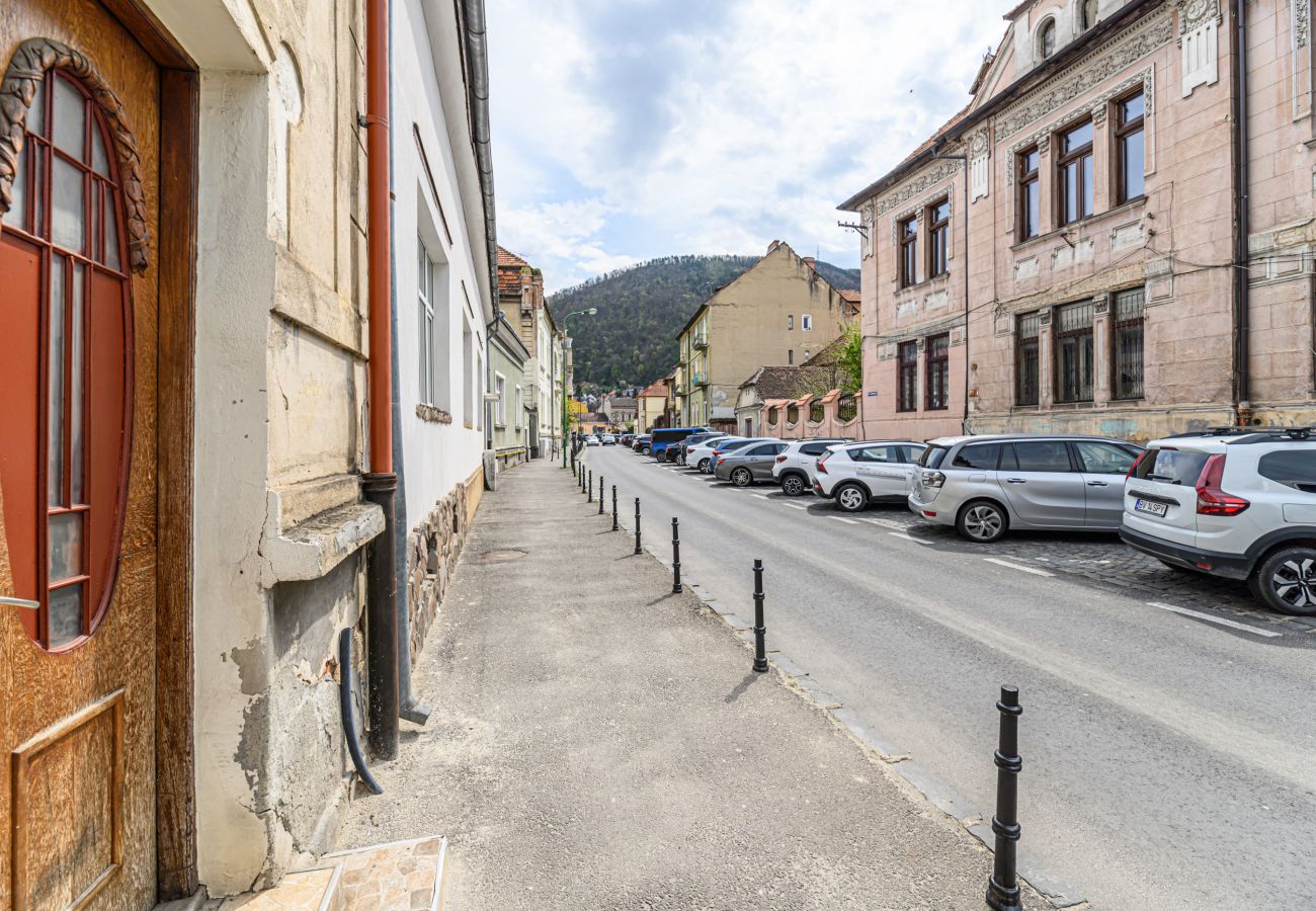 Apartment in Brasov - Quiet Apartment Near Brasov Old Town – Agriselor Street