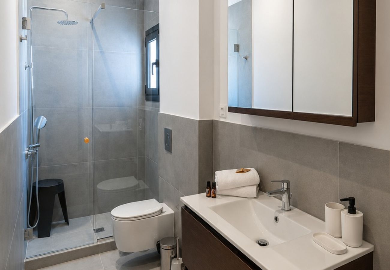 Apartment in Athens - Marathonos B3