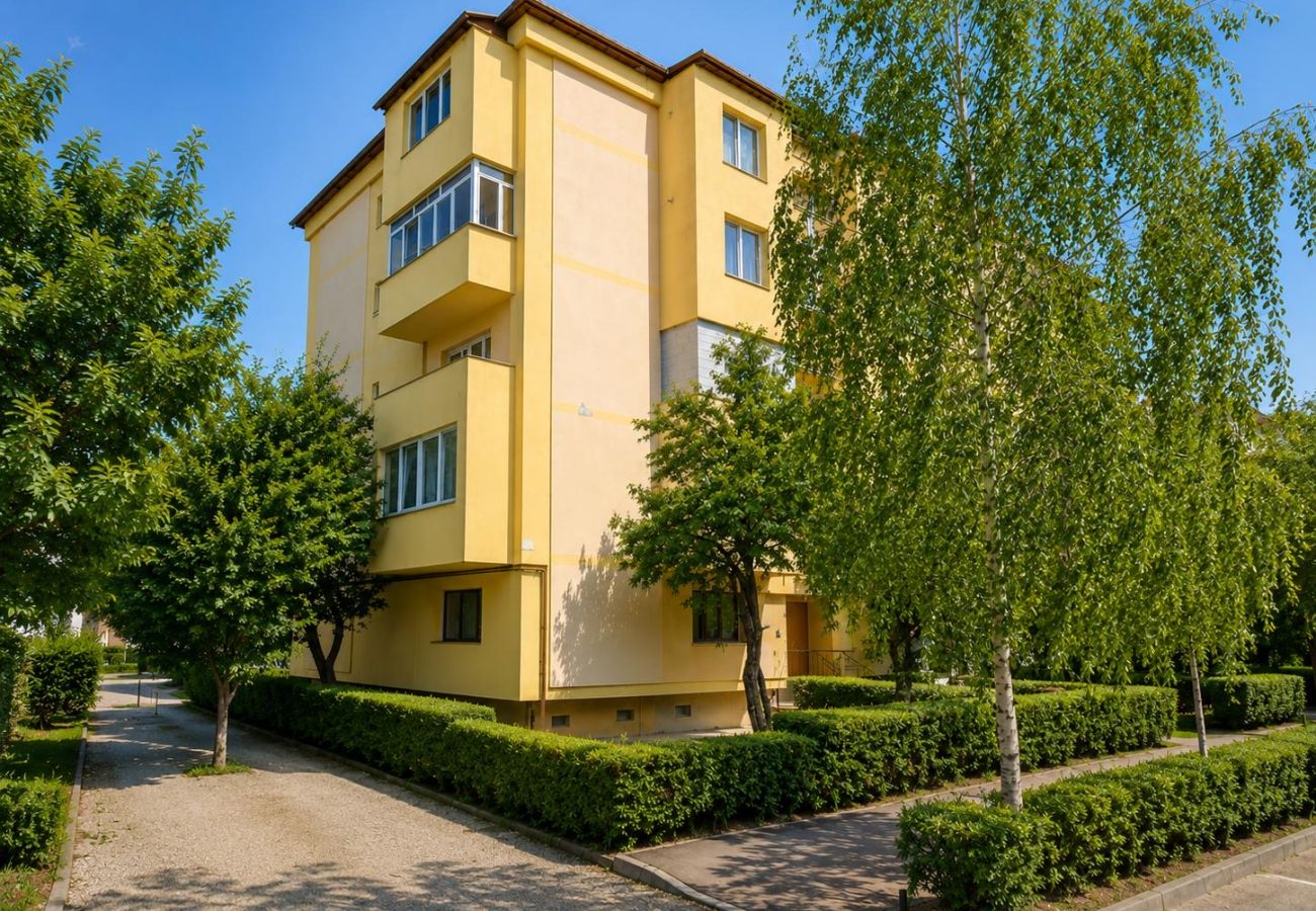 Apartment in Baia Mare - Hana's Apartment