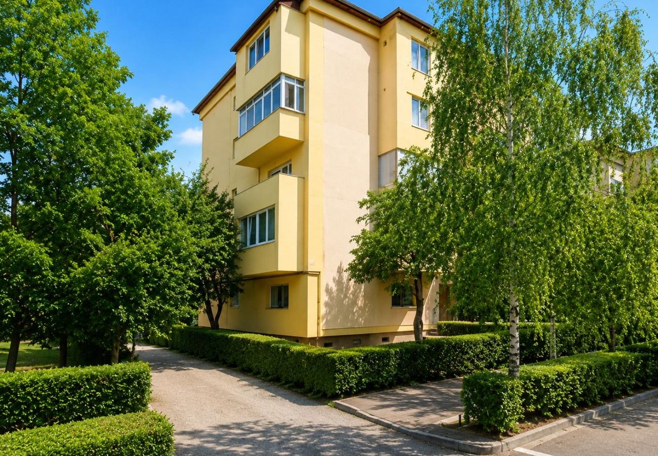 Apartment in Baia Mare - Hana's Apartment