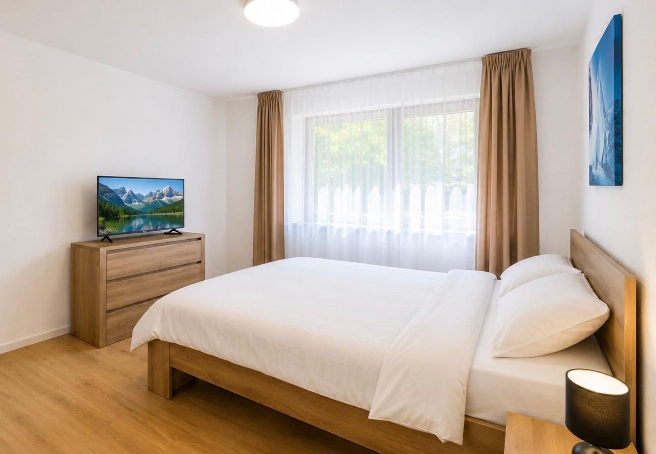 Apartment in Baia Mare - Hana's Apartment