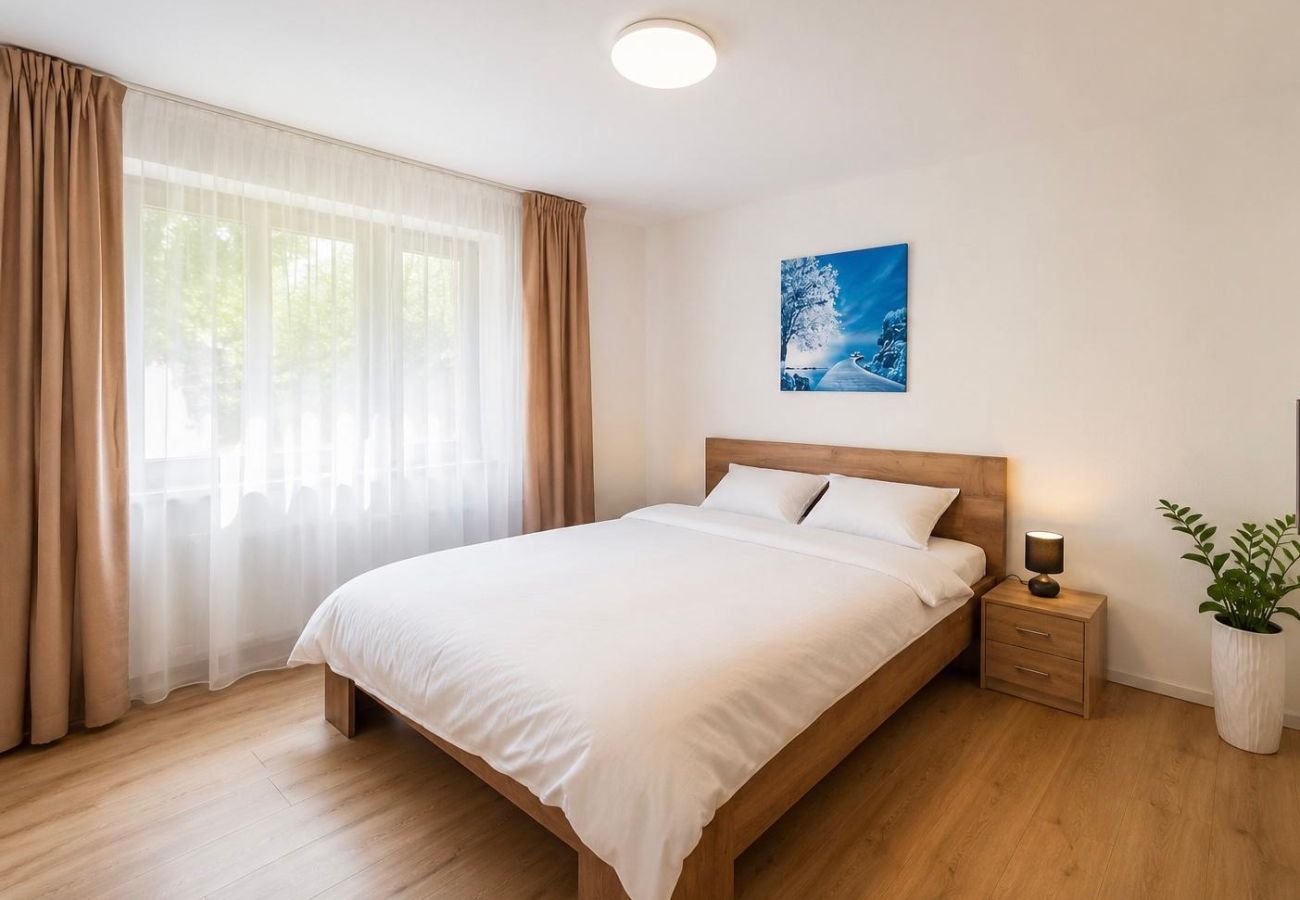 Apartment in Baia Mare - Hana's Apartment