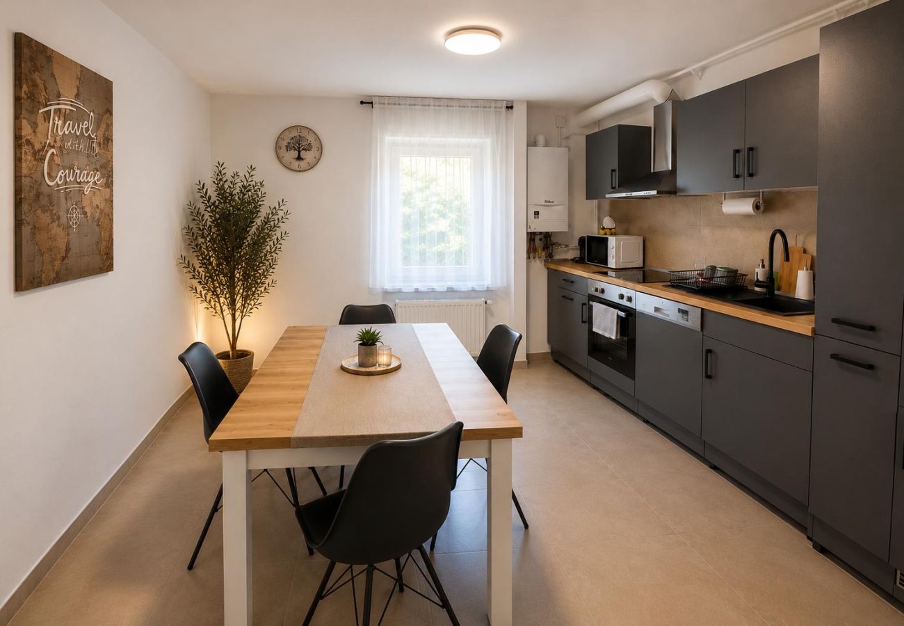 Apartment in Baia Mare - Hana's Apartment