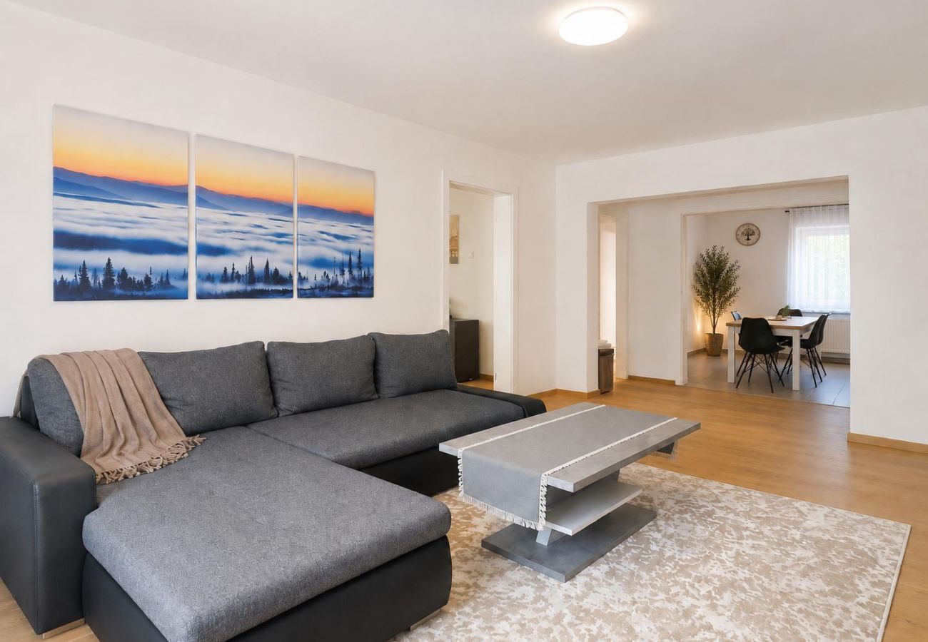Apartment in Baia Mare - Hana's Apartment