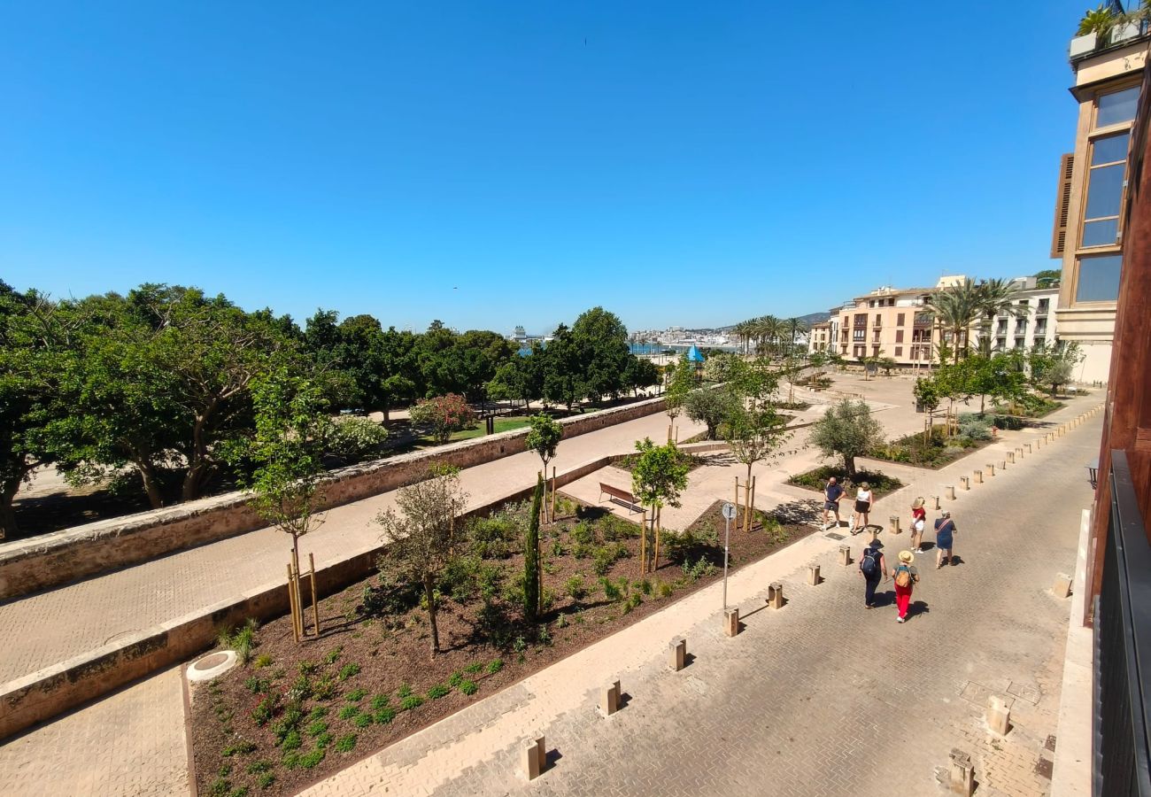 Apartment in Palma de Mallorca - Dalt Murada