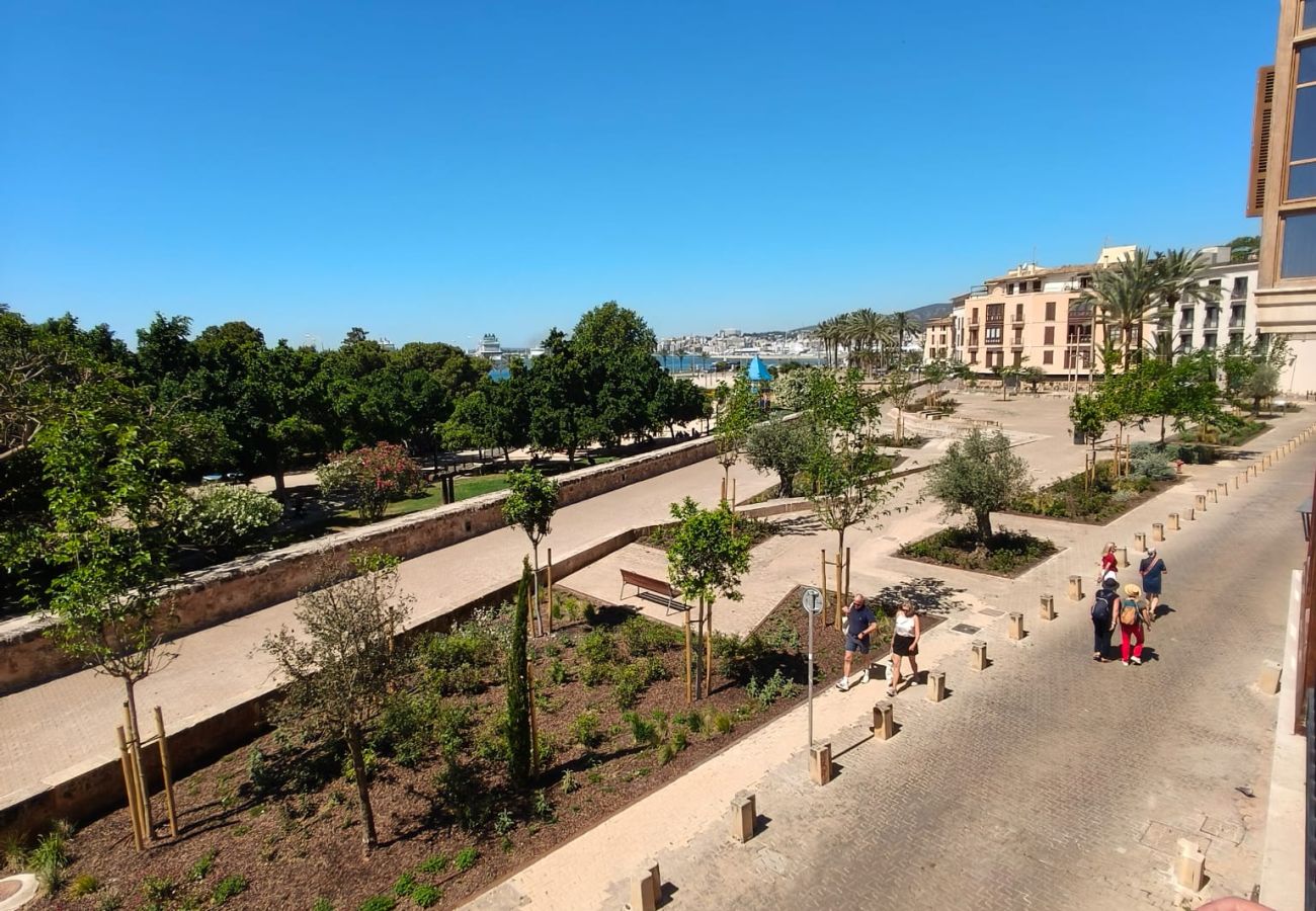 Apartment in Palma de Mallorca - Dalt Murada