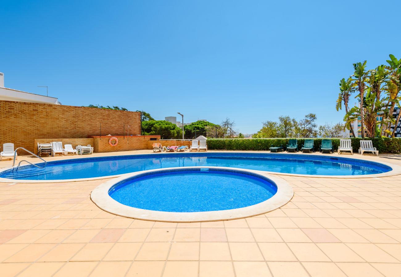 Apartment in Lagos - Apartment Praia Dona Ana